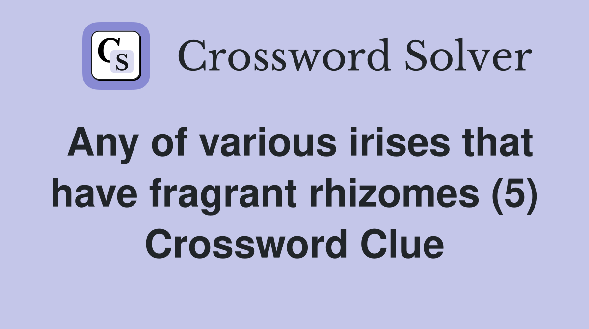 Any of various irises that have fragrant rhizomes (5) Crossword Clue