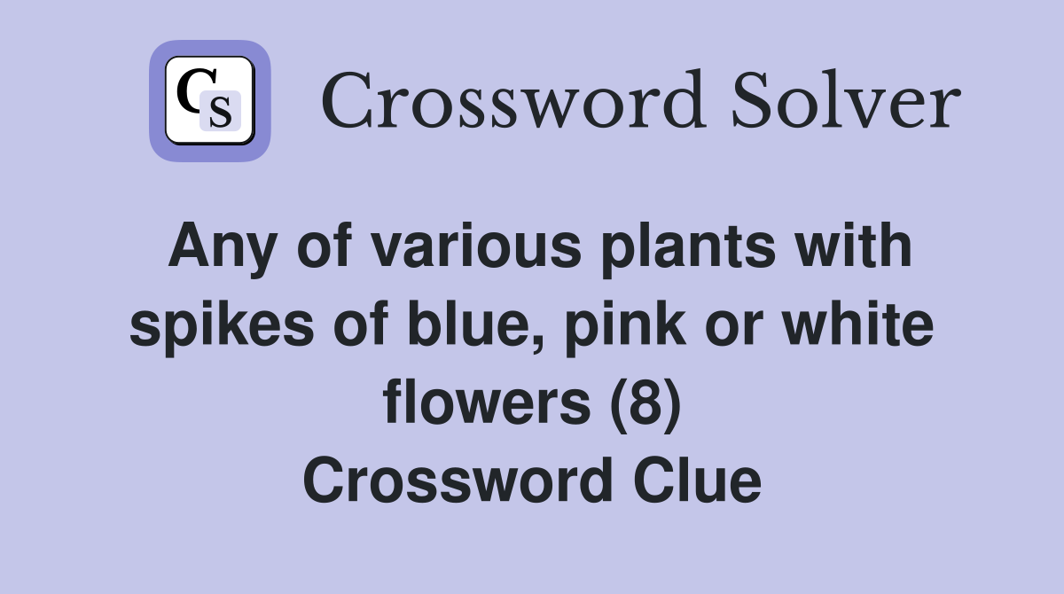 Any of various plants with spikes of blue, pink or white flowers (8) Crossword Clue