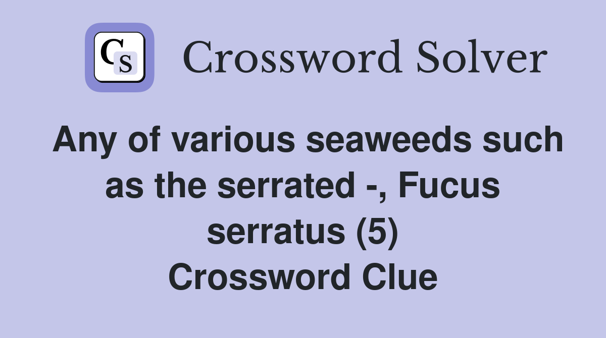 Any of various seaweeds such as the serrated -, Fucus serratus (5) Crossword Clue