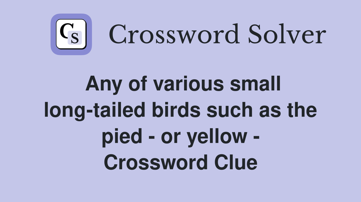 Any of various small long-tailed birds such as the pied - or yellow - Crossword Clue