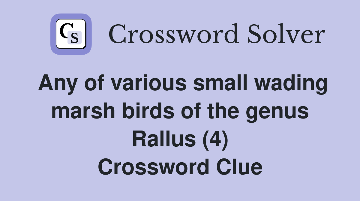 Any of various small wading marsh birds of the genus Rallus (4) Crossword Clue
