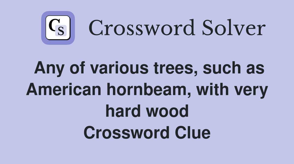 Any of various trees, such as American hornbeam, with very hard wood Crossword Clue