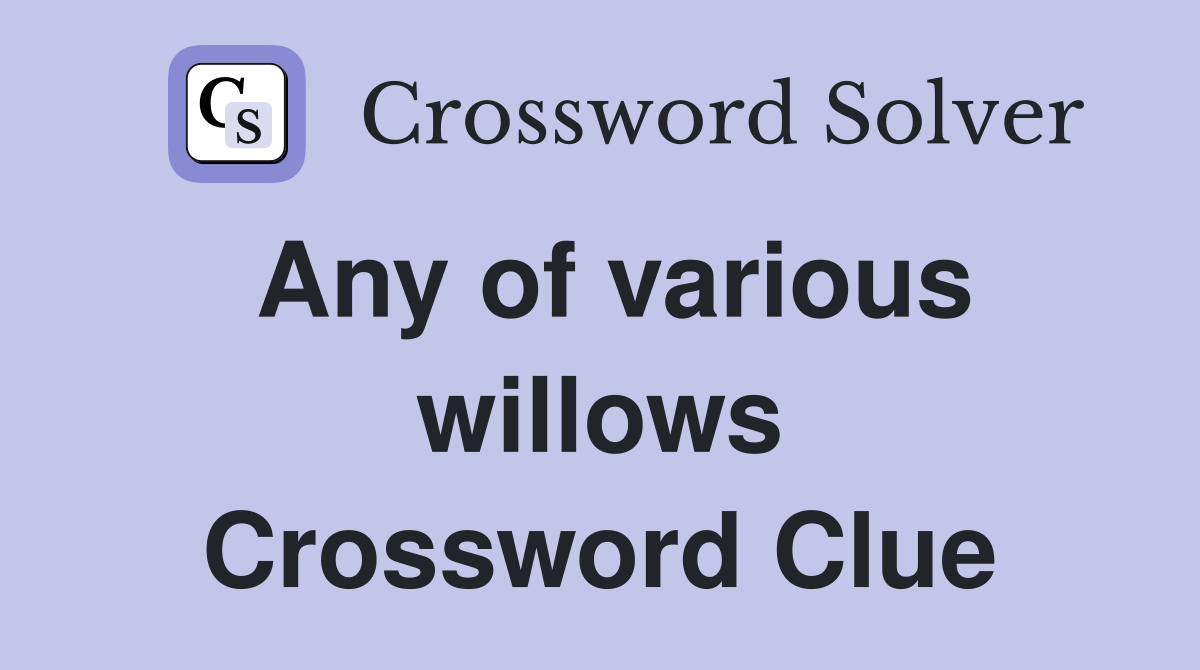 Any of various willows Crossword Clue