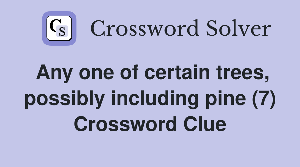 Any one of certain trees, possibly including pine (7) Crossword Clue