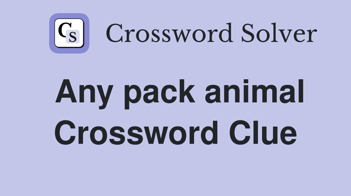 Any pack animal Crossword Clue