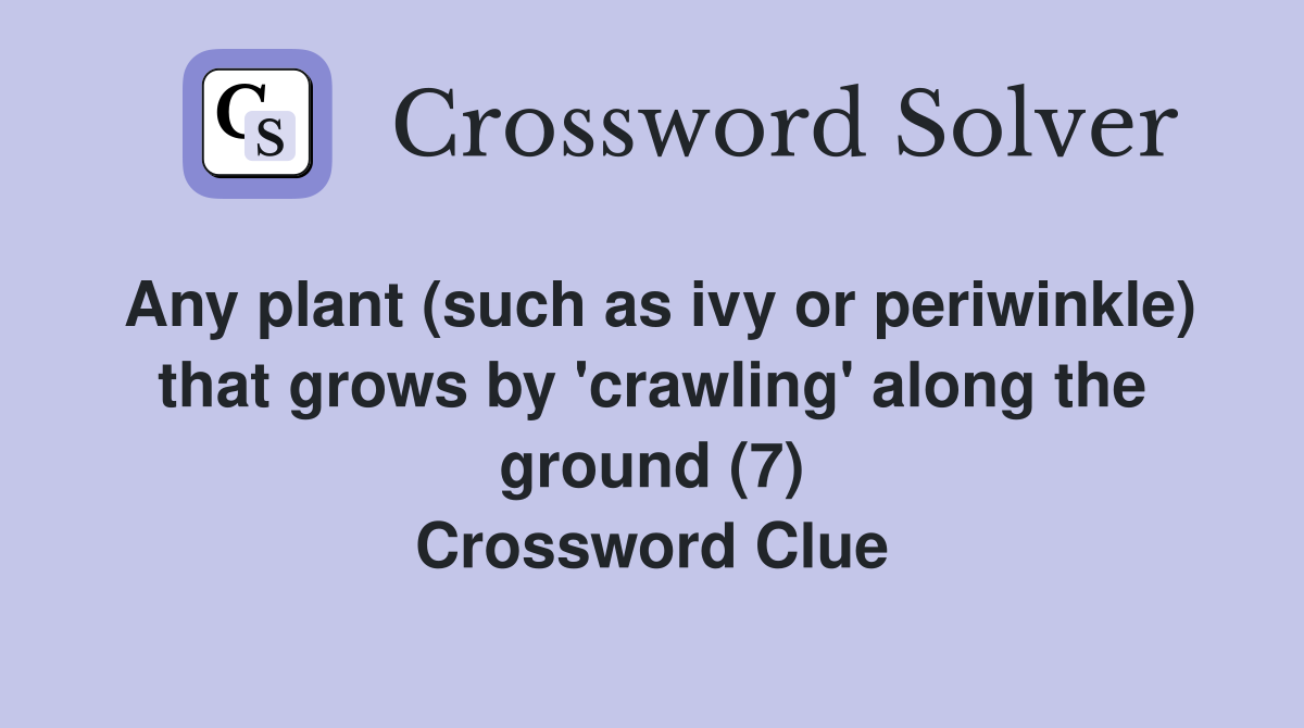 Any plant (such as ivy or periwinkle) that grows by 'crawling' along the ground (7) Crossword Clue