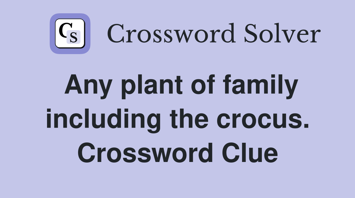 Any plant of family including the crocus. Crossword Clue