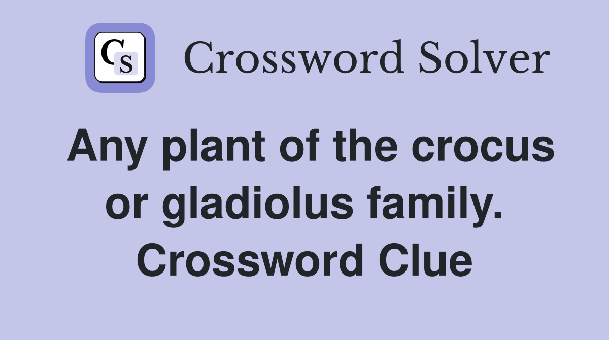 Any plant of the crocus or gladiolus family. Crossword Clue