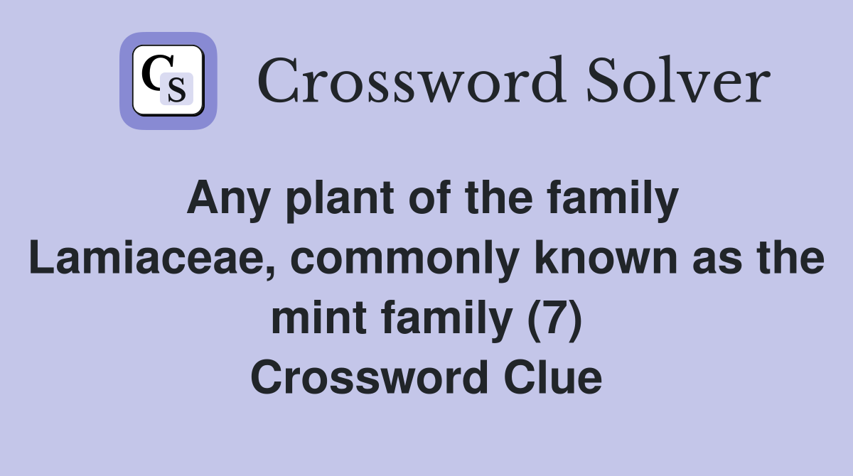 Any plant of the family Lamiaceae, commonly known as the mint family (7) Crossword Clue