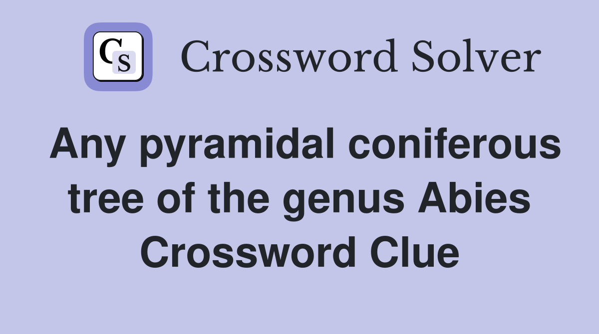 Any pyramidal coniferous tree of the genus Abies Crossword Clue