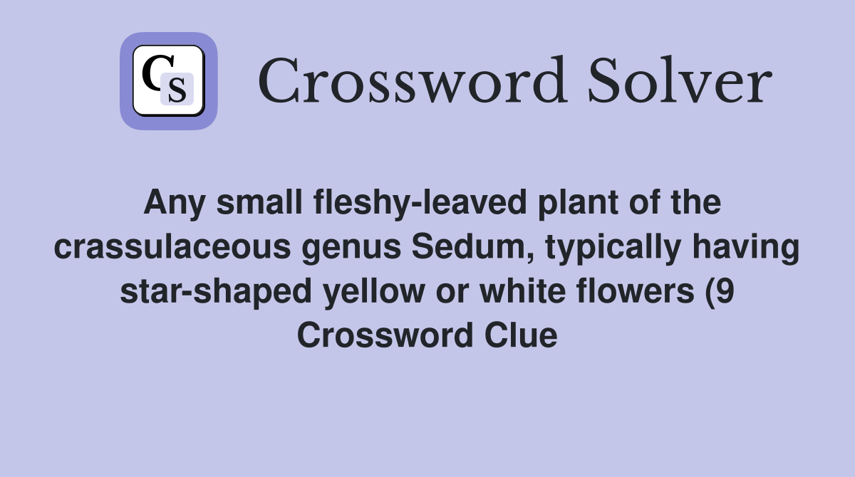 Any small fleshy leaved plant of the crassulaceous genus Sedum Any small fleshy leaved plant of the crassulaceous genus Sedum