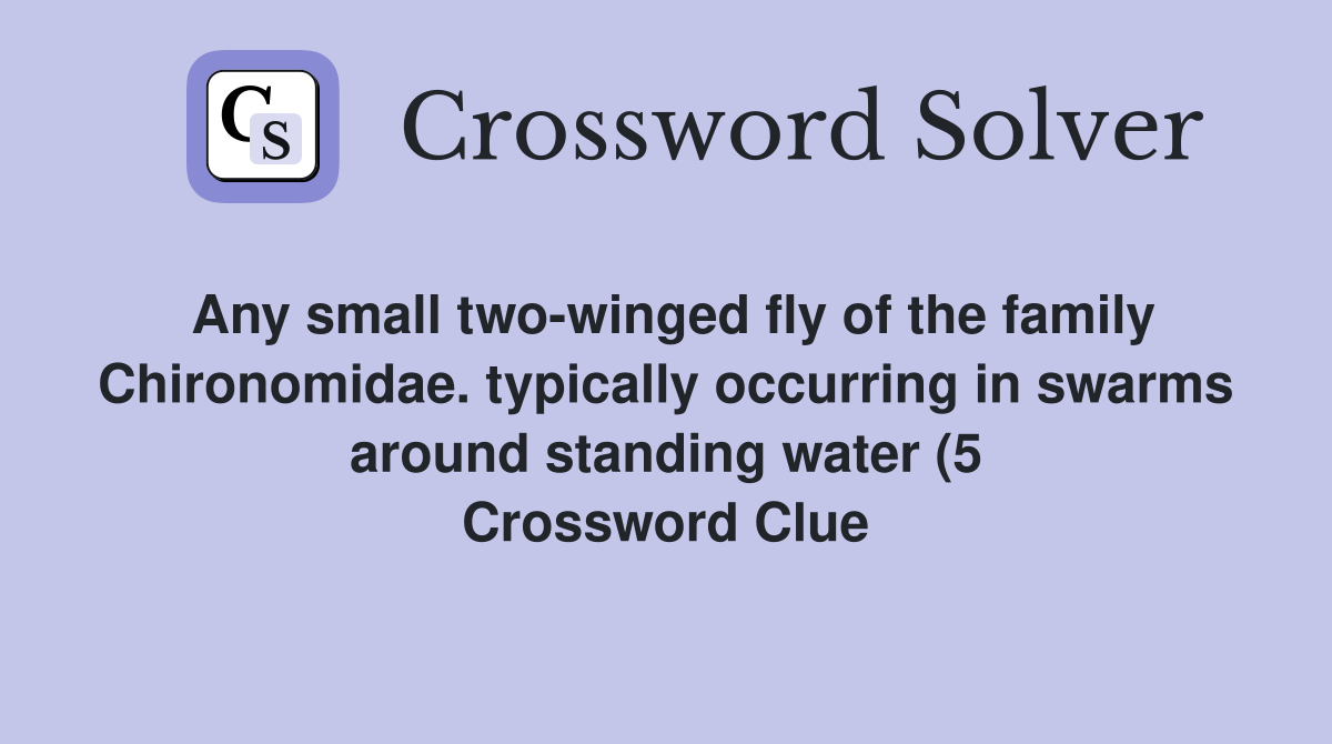 Any small two winged fly of the family Chironomidae typically Any small two winged fly of the family Chironomidae typically