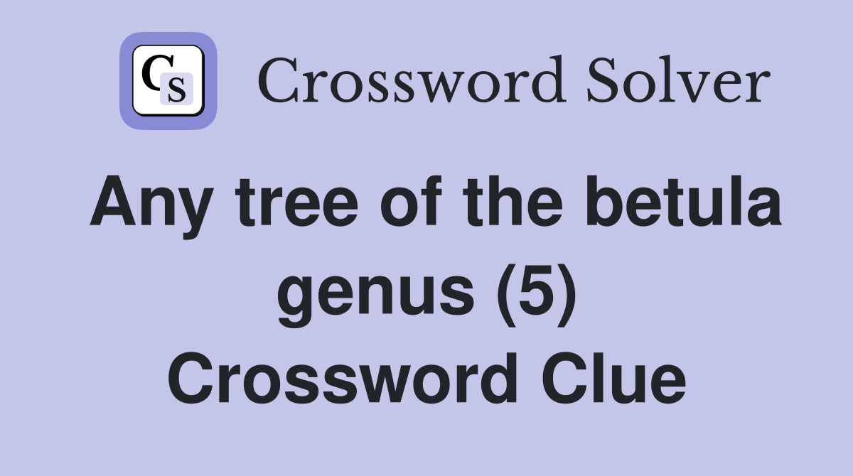 Any tree of the betula genus (5) Crossword Clue