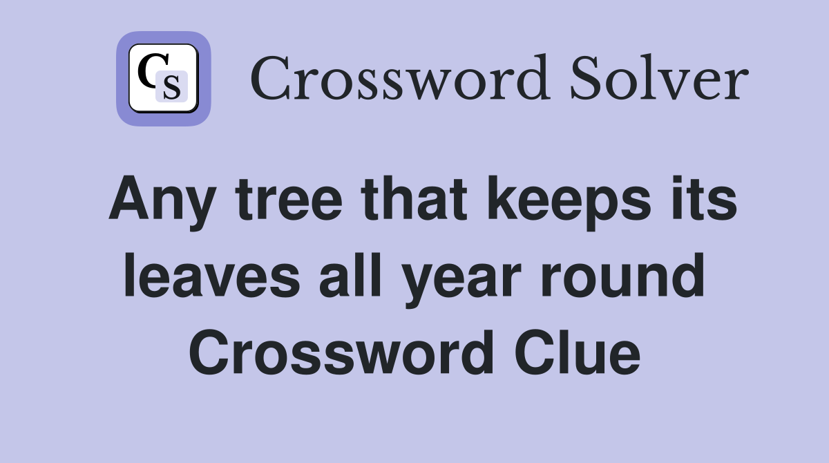 Any tree that keeps its leaves all year round Crossword Clue