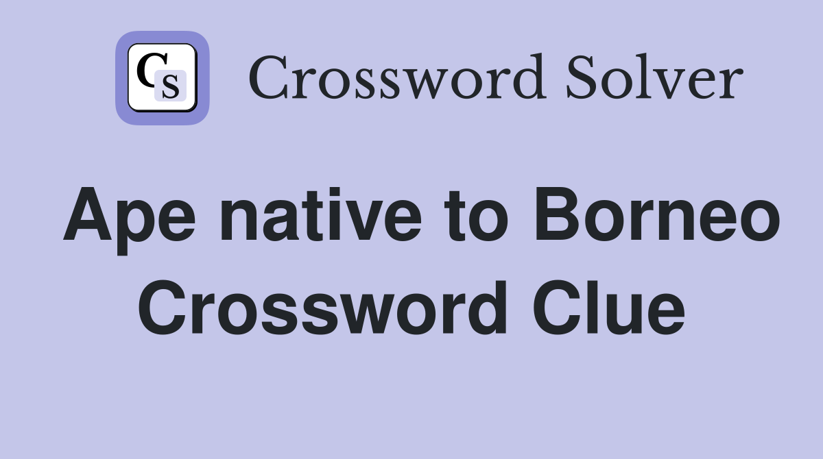 Ape native to Borneo Crossword Clue