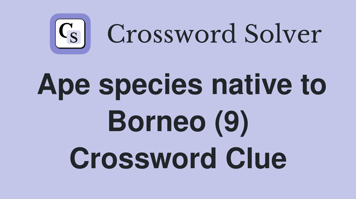 Ape species native to Borneo (9) Crossword Clue