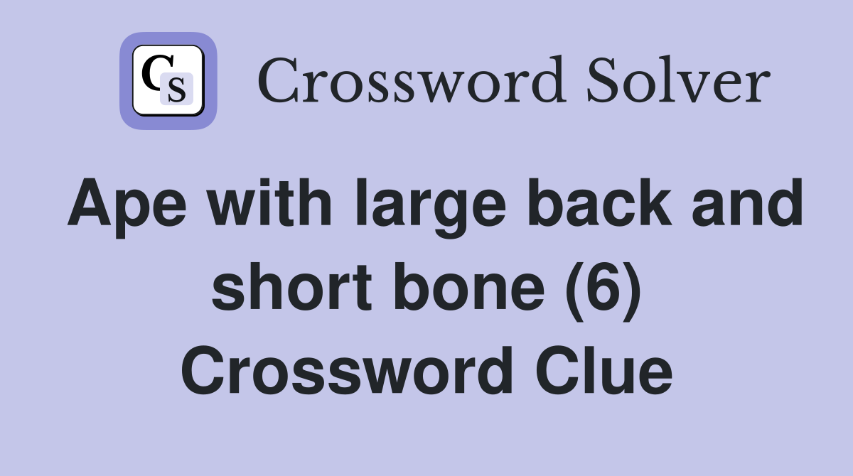 Ape with large back and short bone (6) Crossword Clue