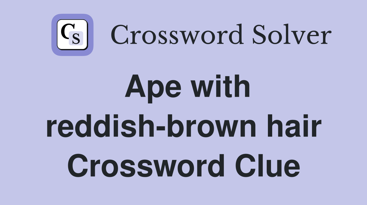 Ape with reddish-brown hair Crossword Clue