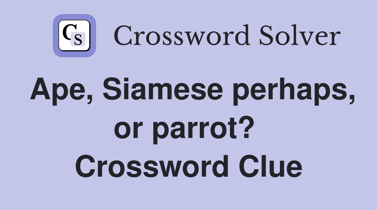 Ape, Siamese perhaps, or parrot?  Crossword Clue