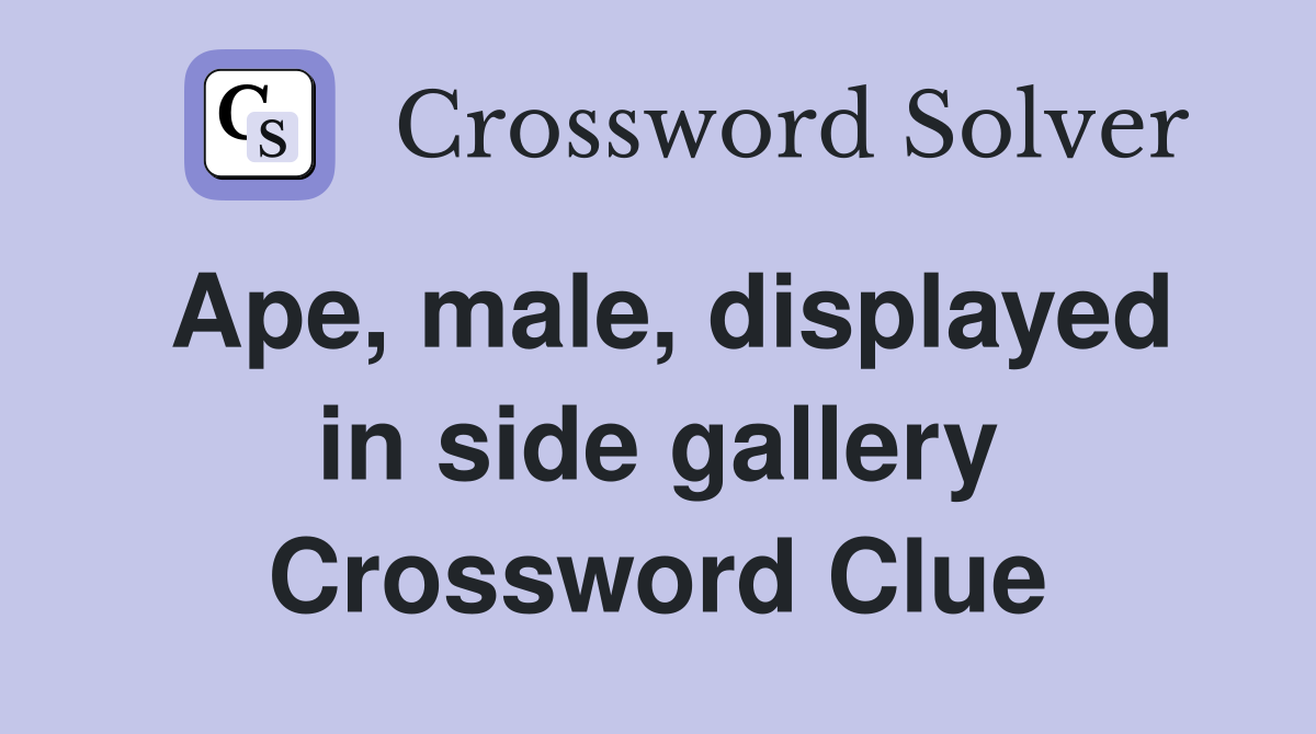 Ape, male, displayed in side gallery Crossword Clue