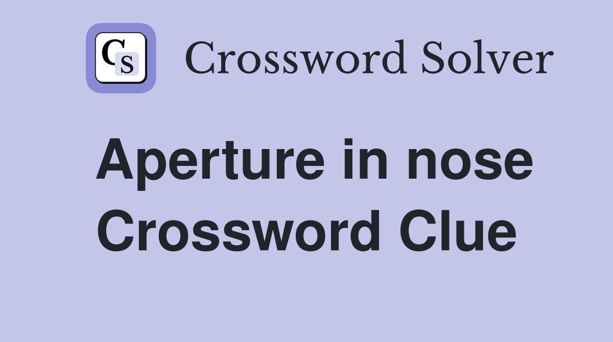 Aperture in nose Crossword Clue
