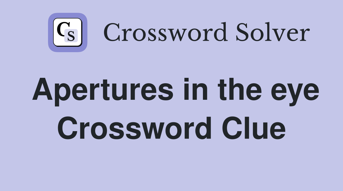 Apertures in the eye Crossword Clue