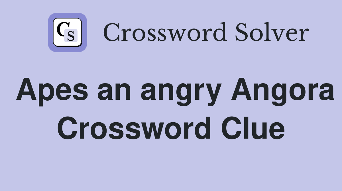 Apes an angry Angora Crossword Clue