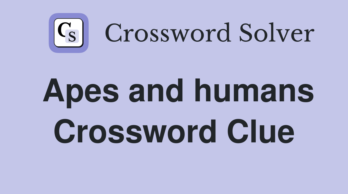 Apes and humans Crossword Clue