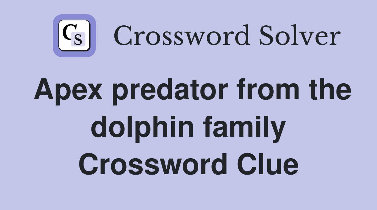 Apex predator from the dolphin family Crossword Clue