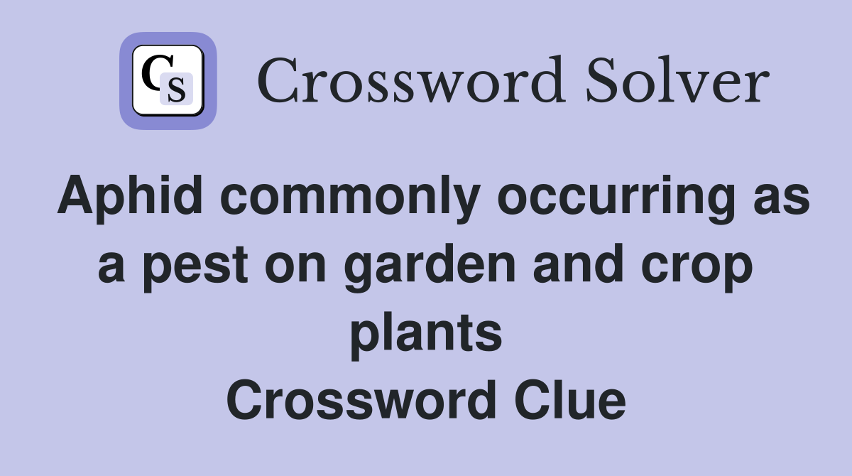Aphid commonly occurring as a pest on garden and crop plants Crossword Clue