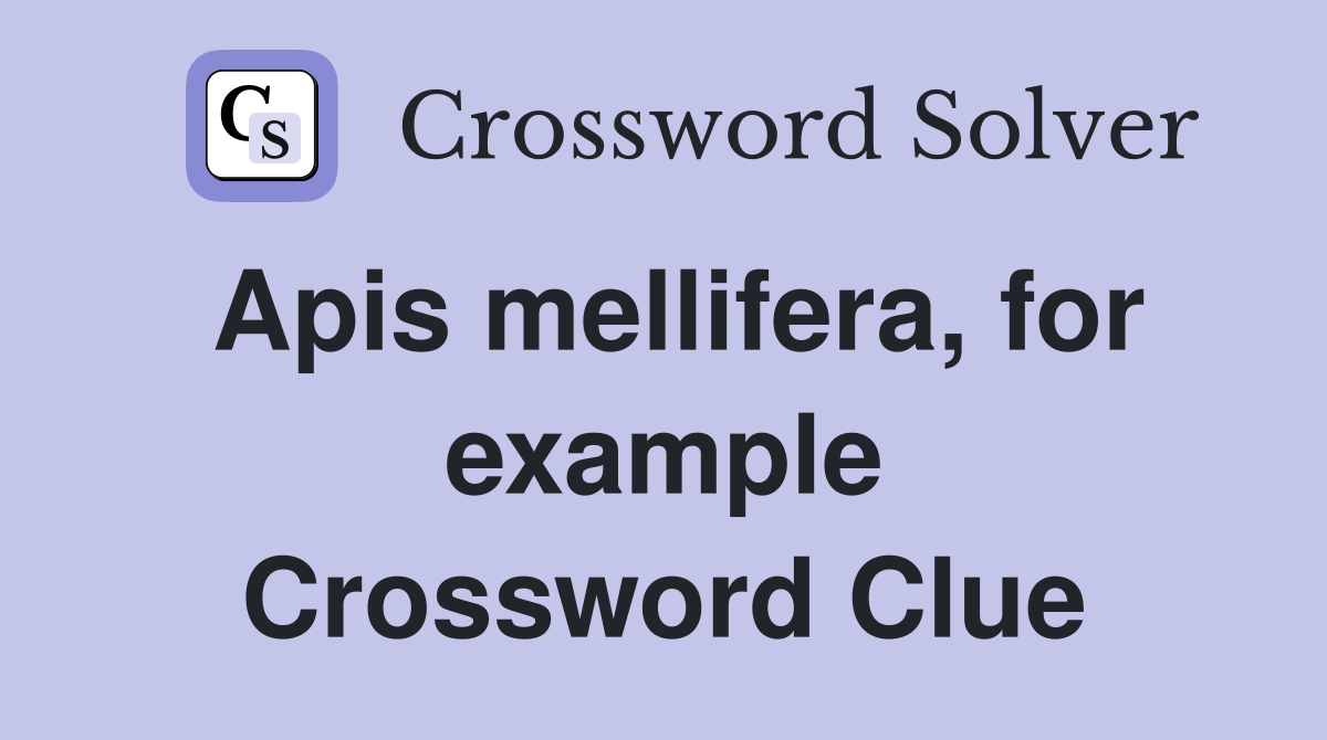 Apis mellifera, for example Crossword Clue