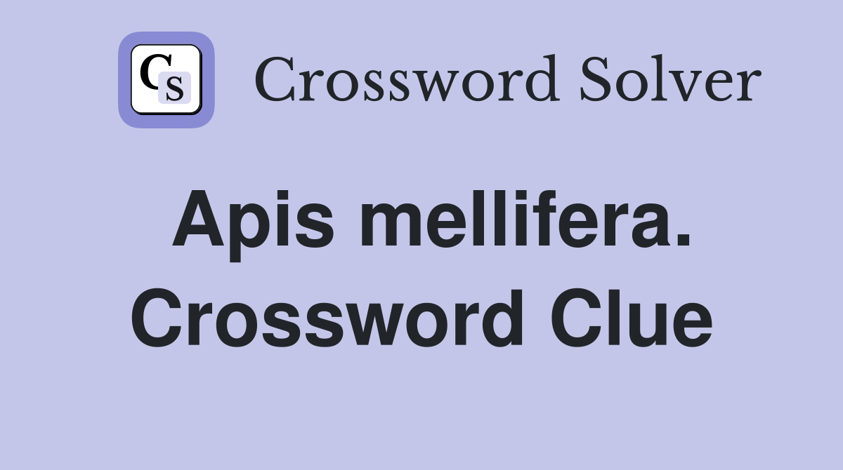 Apis mellifera. Crossword Clue