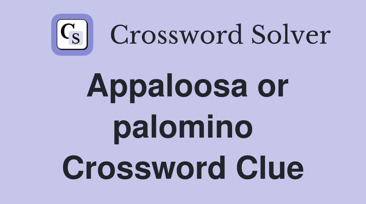 Appaloosa or palomino Crossword Clue