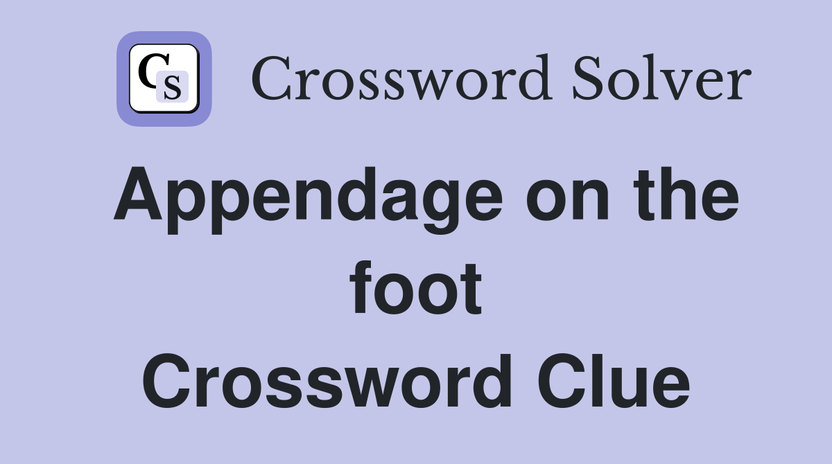 Appendage on the foot Crossword Clue