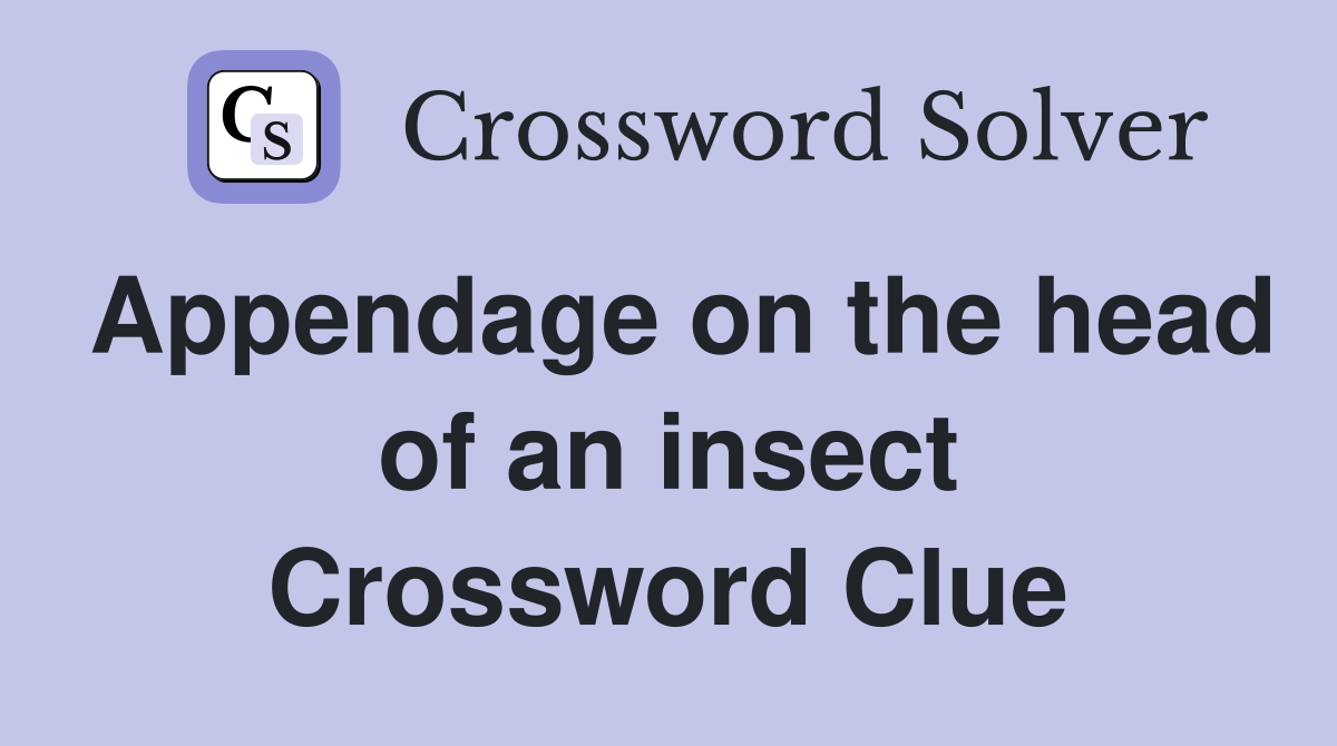 Appendage on the head of an insect Crossword Clue