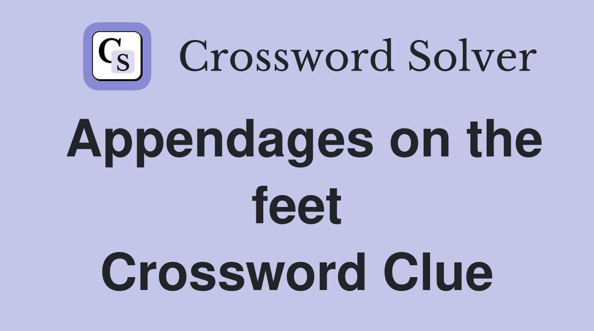 Appendages on the feet Crossword Clue