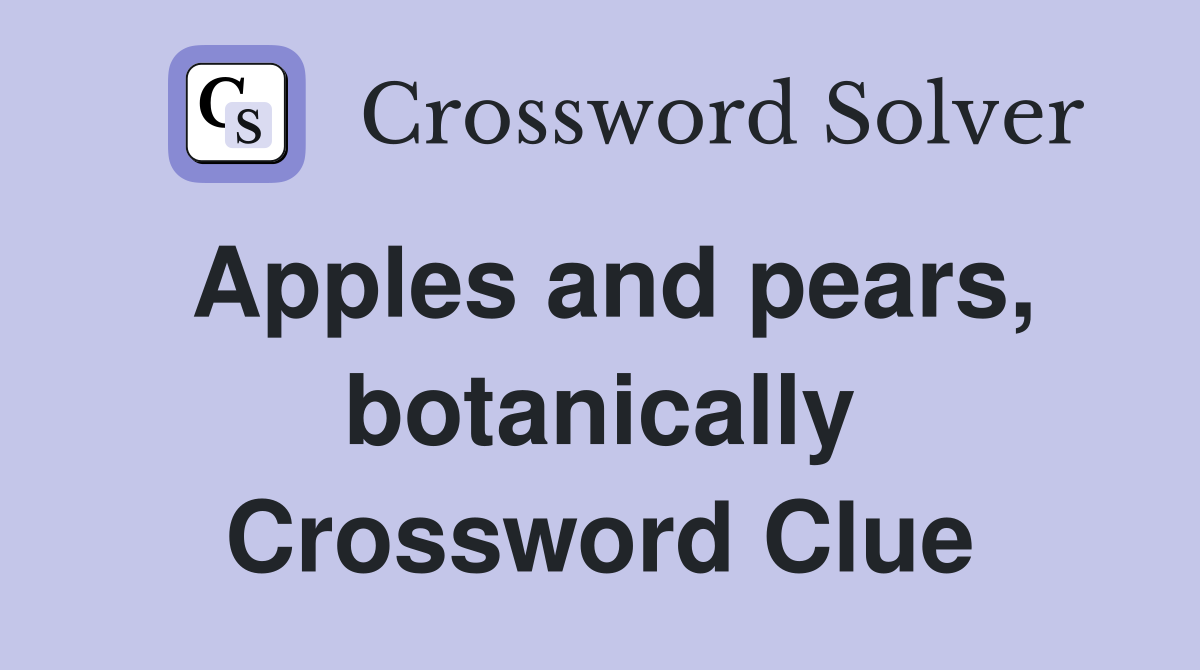 Apples and pears, botanically Crossword Clue