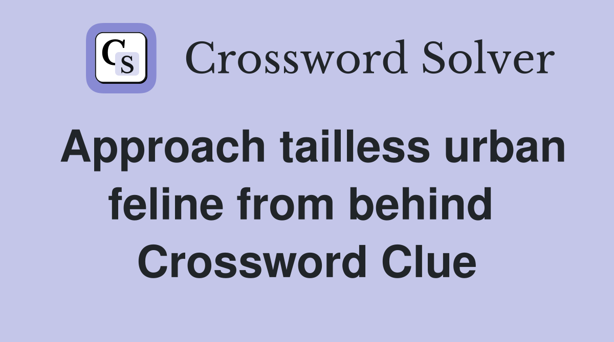Approach tailless urban feline from behind  Crossword Clue