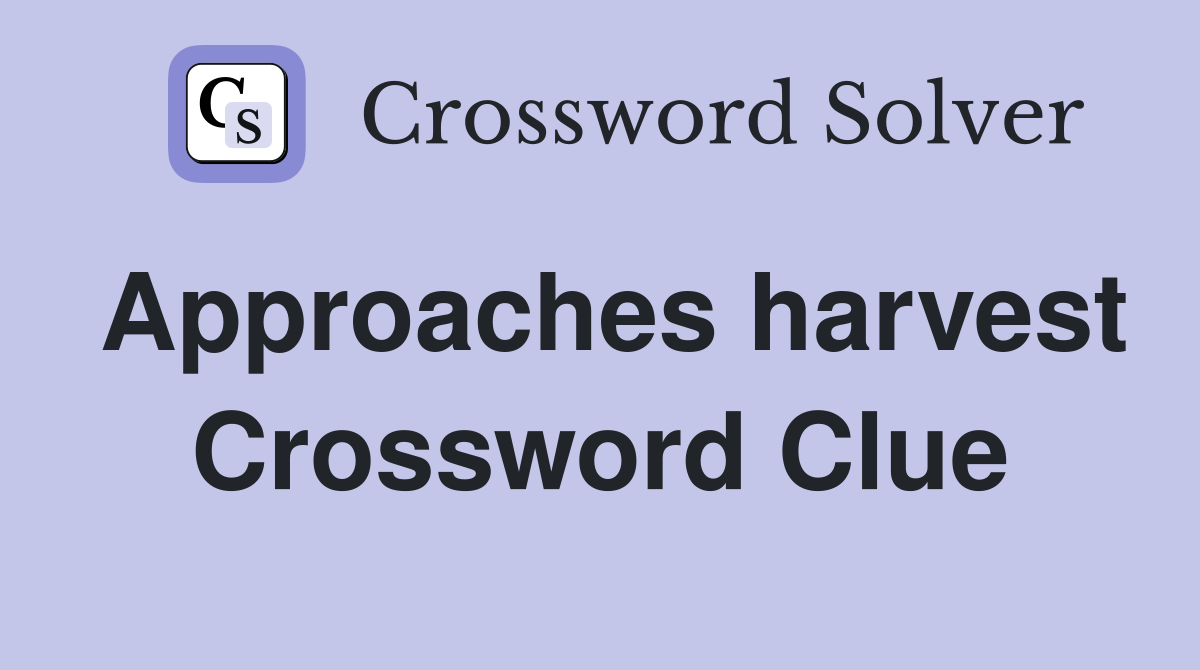 Approaches harvest Crossword Clue