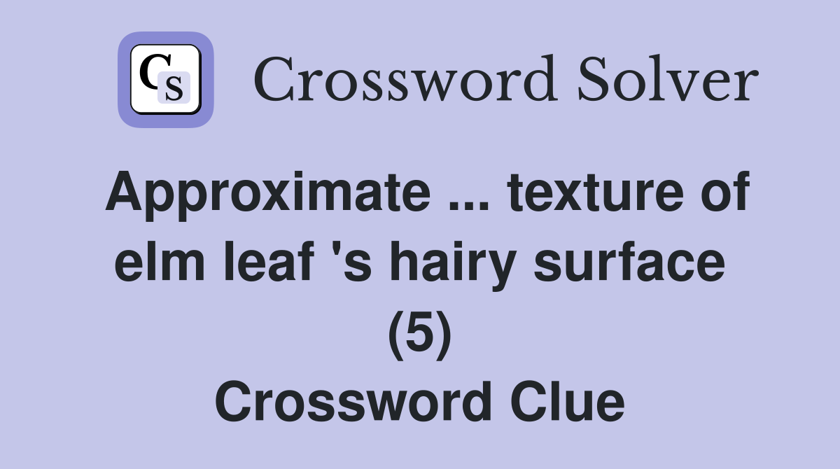 Approximate ... texture of elm leaf 's hairy surface (5) Crossword Clue