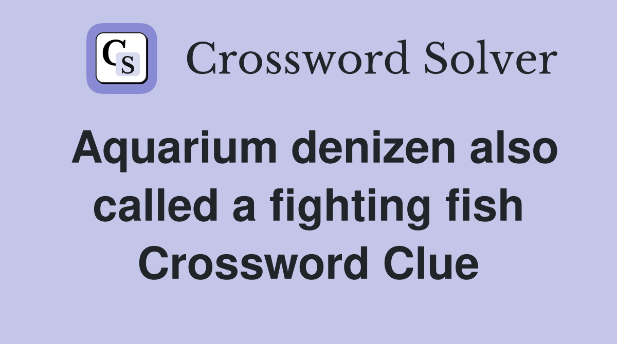 Aquarium denizen also called a fighting fish Crossword Clue