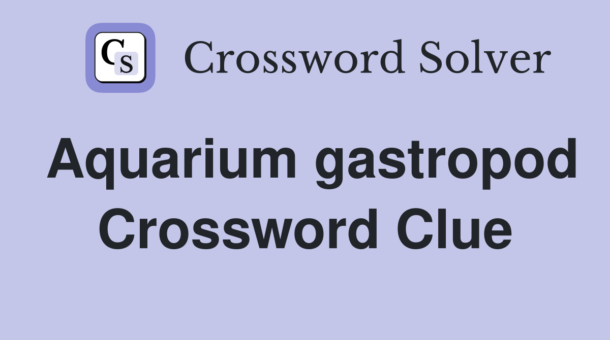 Aquarium gastropod Crossword Clue