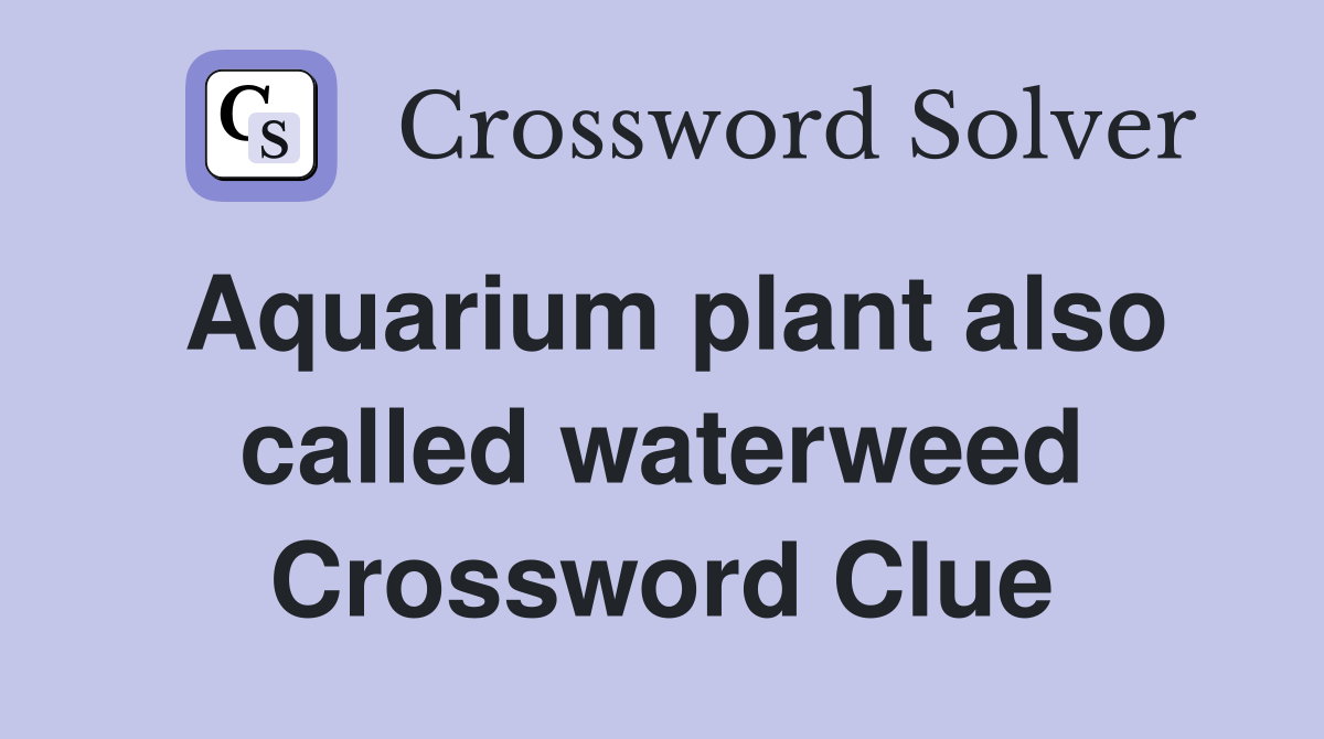 Aquarium plant also called waterweed Crossword Clue