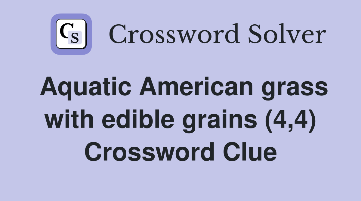 Aquatic American grass with edible grains (4,4) Crossword Clue
