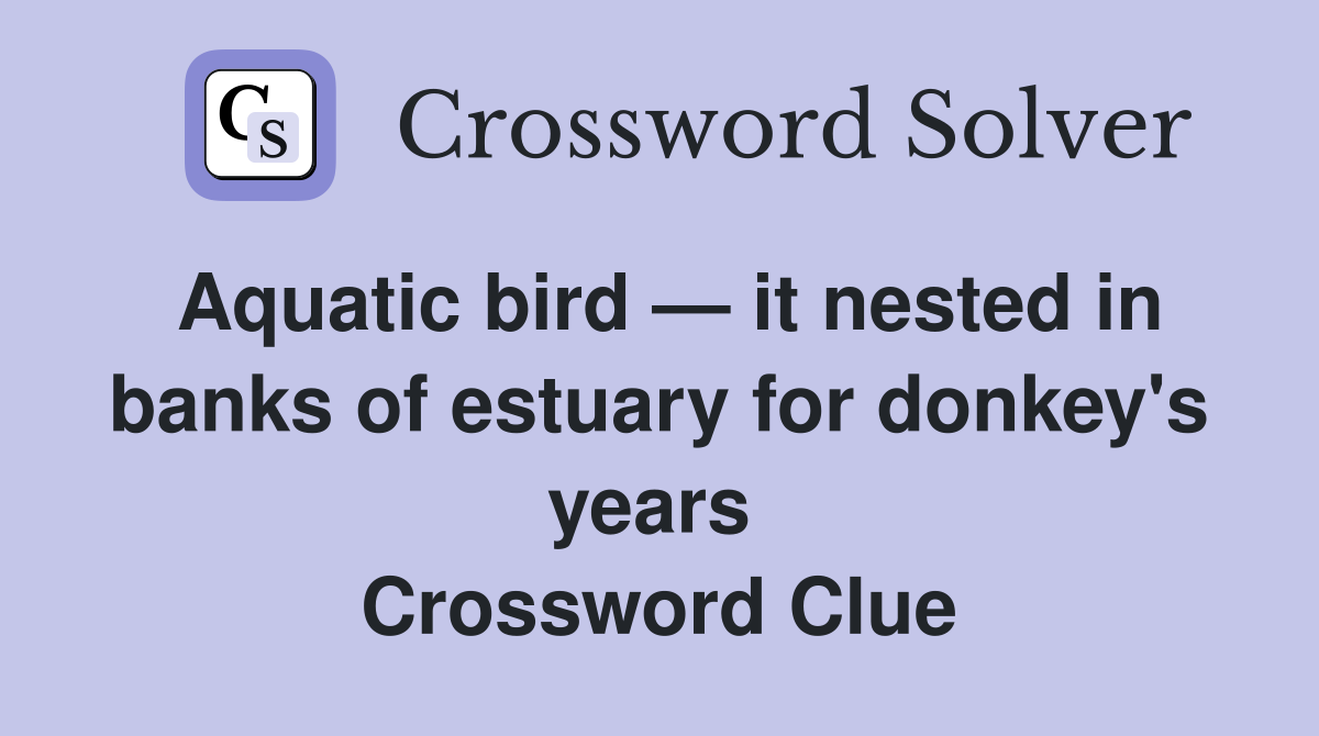 Aquatic bird — it nested in banks of estuary for donkey's years  Crossword Clue