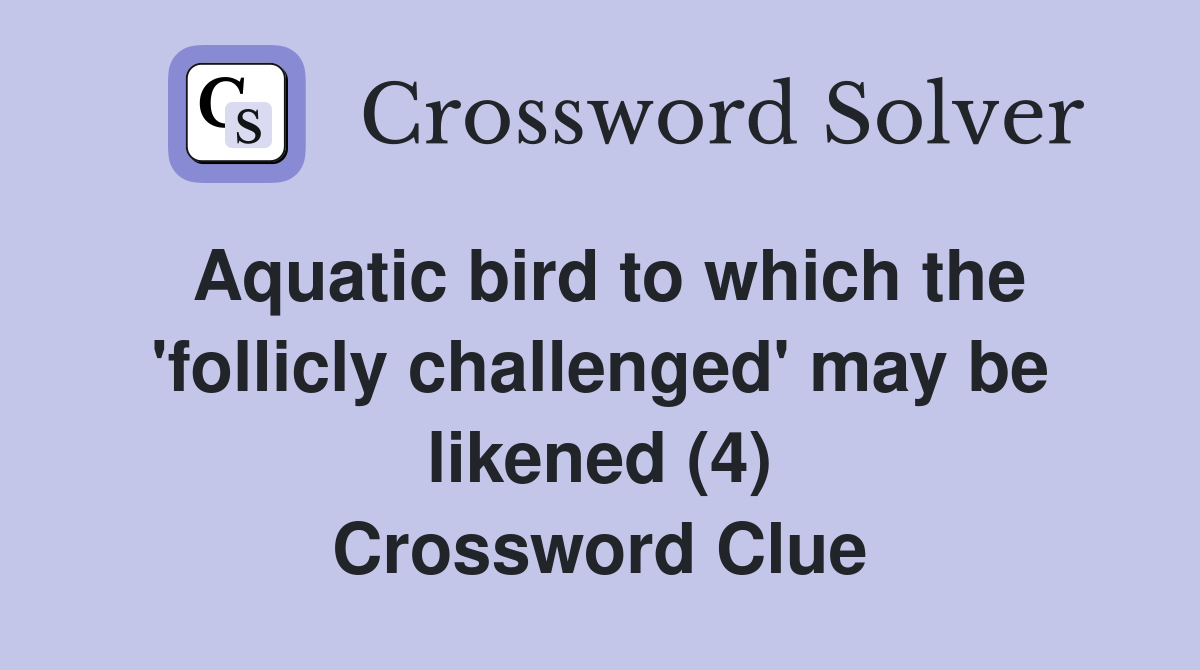 Aquatic bird to which the 'follicly challenged' may be likened (4) Crossword Clue