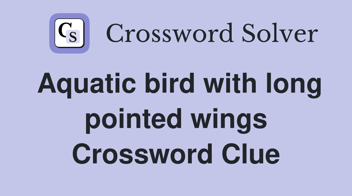 Aquatic bird with long pointed wings Crossword Clue