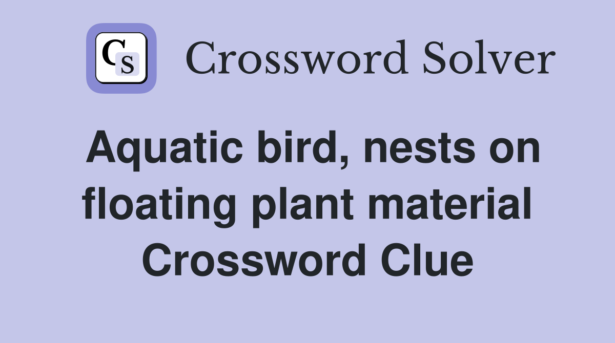 Aquatic bird, nests on floating plant material Crossword Clue