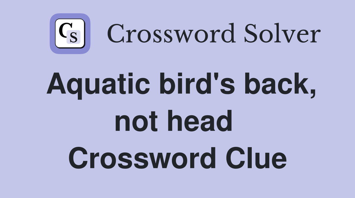 Aquatic bird's back, not head  Crossword Clue