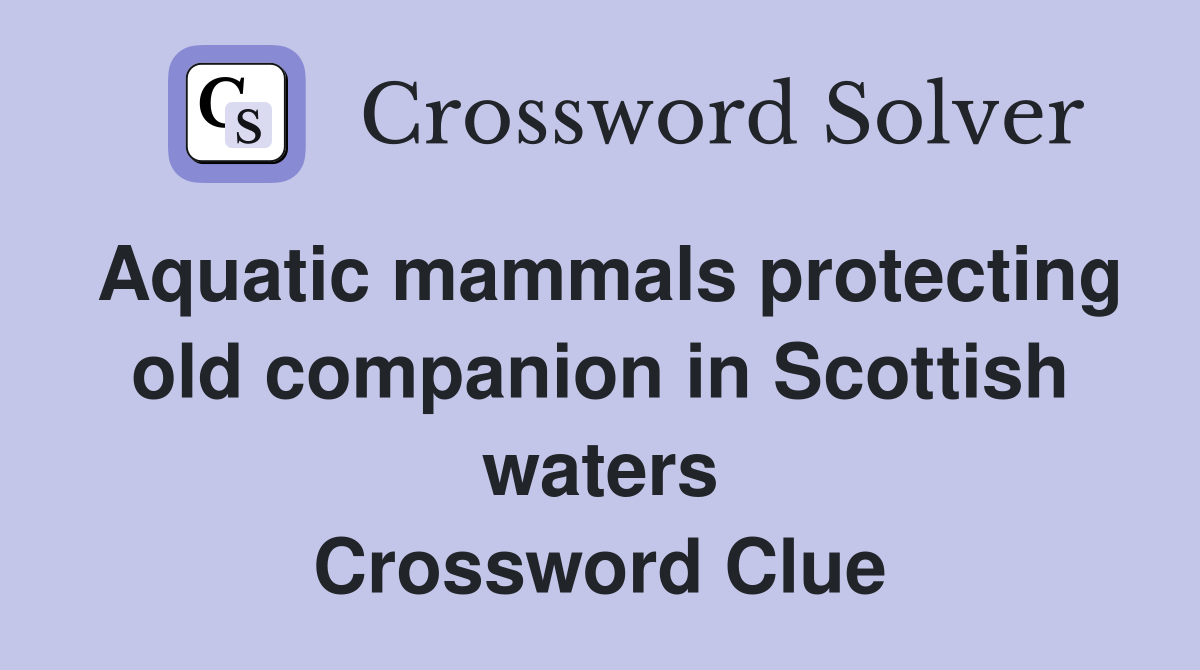 Aquatic mammals protecting old companion in Scottish waters Crossword Clue